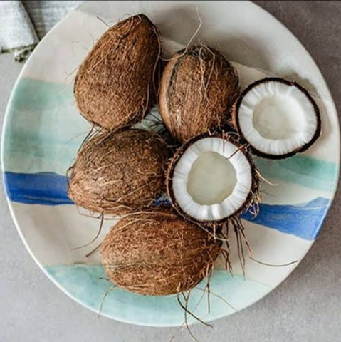 Coconut Medium Size 2pc